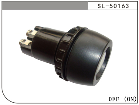 SL-50163
